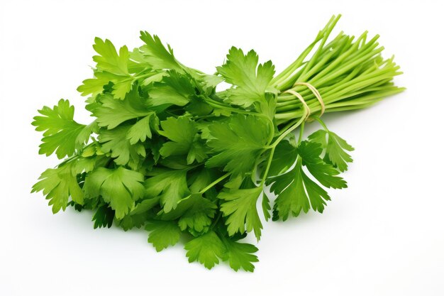 Fresh parsley bunch on white background