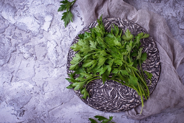 Fresh parsley on gray concrete background