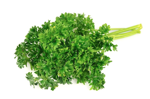 Fresh parsley herb isolated on white