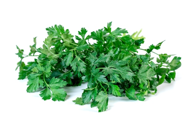 Fresh parsley isolated, fresh vegetable.