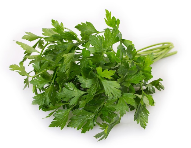 Fresh parsley isolated on white background