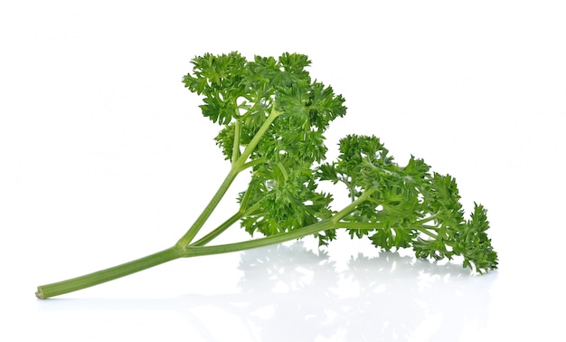 Fresh parsley isolated on white background