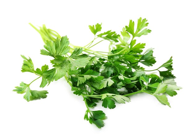 Fresh parsley isolated on white