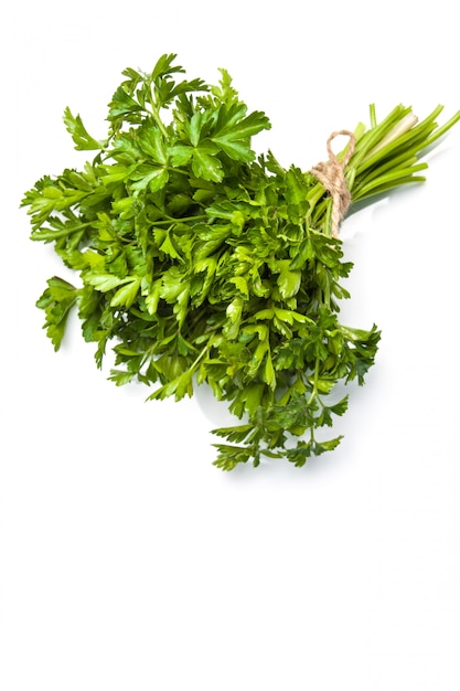 Fresh parsley isolated