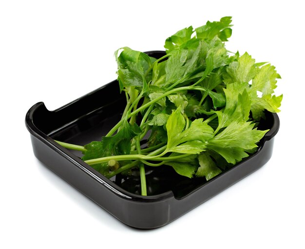 Fresh parsley on plate isolated on white background