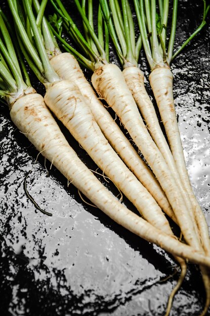 Fresh parsley root Rustic background