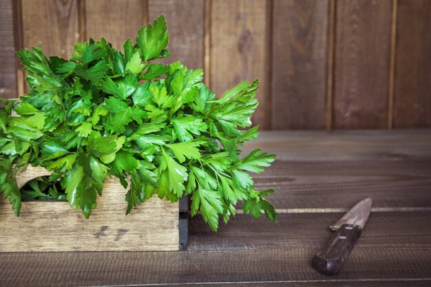 Fresh parsley in tray on dark rustic board. Close up.