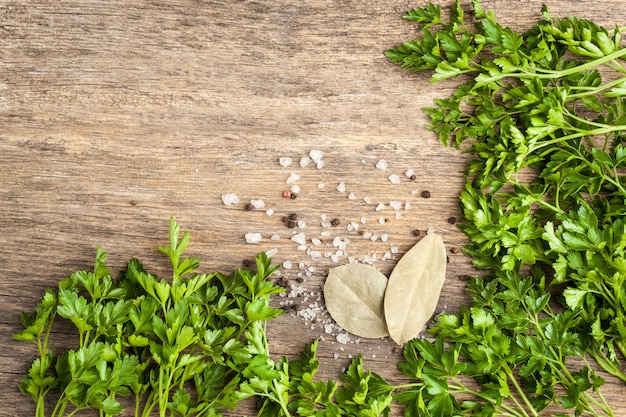 Fresh parsley vegetable