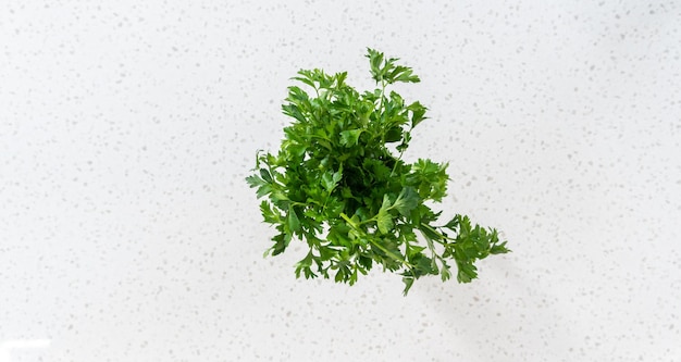 Photo fresh parsley