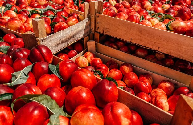 fresh peaches in the in wooden crates