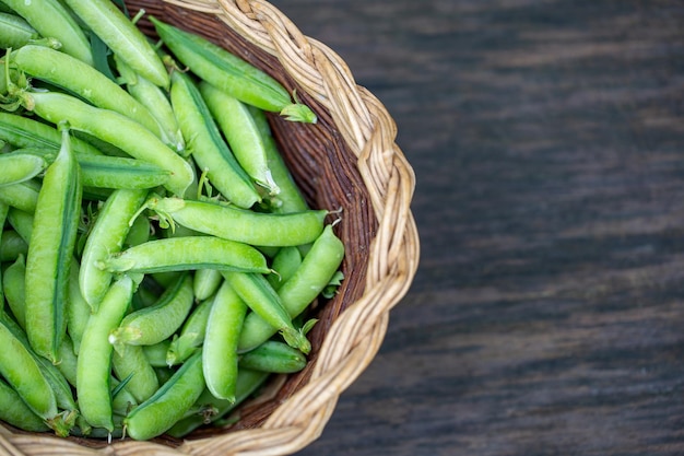 fresh peas in pods in a basket with copy space Healthy eating concept