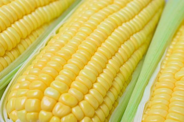 fresh peeled sweet corns 