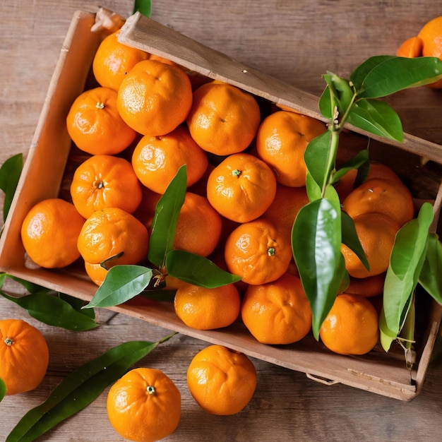 Fresh picked mandarins