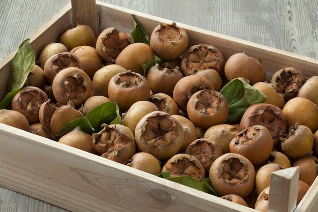 Fresh picked medlars