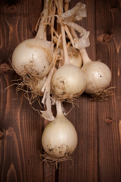 FRESH-PICKED ONIONS