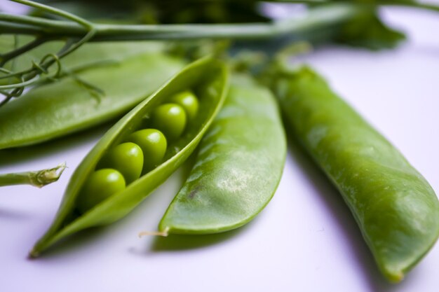 Fresh picked peas in pile of pea pods on white background
