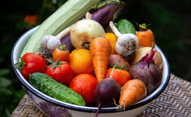 Fresh picked vegetables in a bowl in the garden
