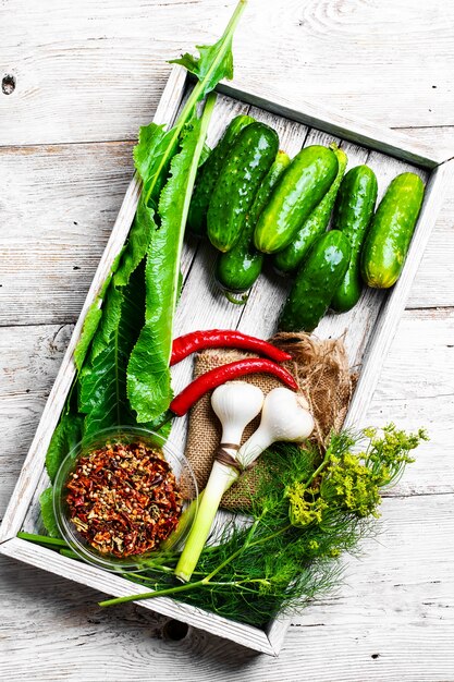 Fresh pickling cucumbers