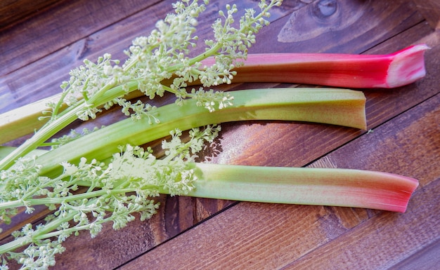 Fresh pieplant. Red and green stems, white flowers. Rhubarb plant on a wooden tabled.