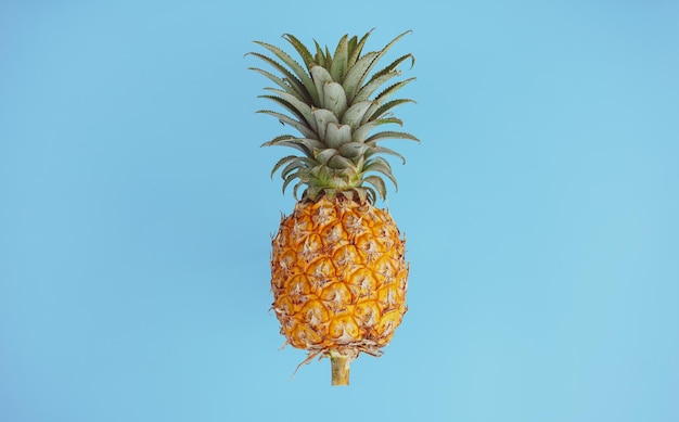 Fresh Pineapple on blue background with vintage filter