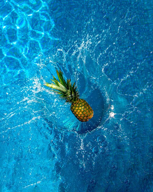 Fresh pineapple fruit falls on the water