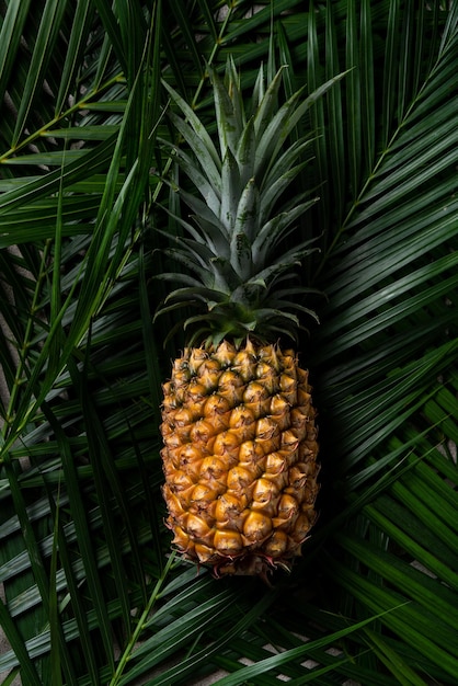 Ananas fresco su sfondo di foglie tropicali