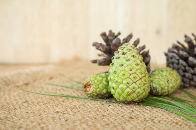 신선한 pinecone을위한 신선한 pinecone 차.