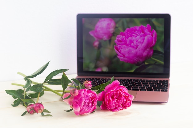 Свежие розовые пионы на рабочем столе и фотографии этих цветов на экране ноутбука.