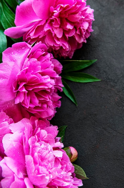 Фото Свежие розовые цветы пиона границы с копией пространства на черном фоне плоской планировки