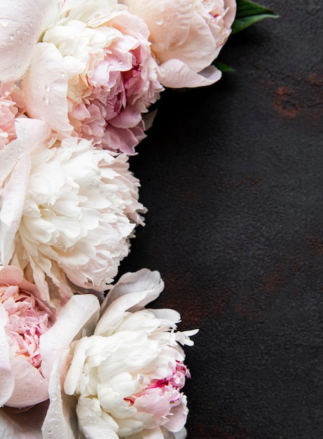 Фото Свежие розовые цветы пиона граница с копией пространства на черном столе, плоская планировка.