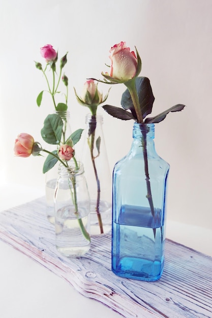 Fresh pink roses in glass transparent vases flowers for romantic greetings happy birthday