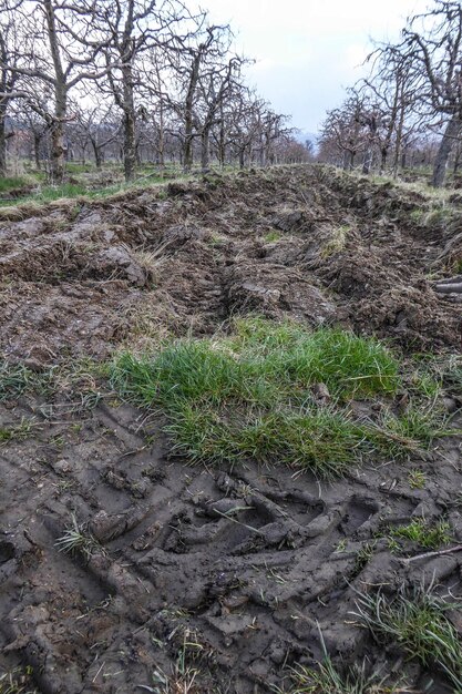 Fresh ploughed field