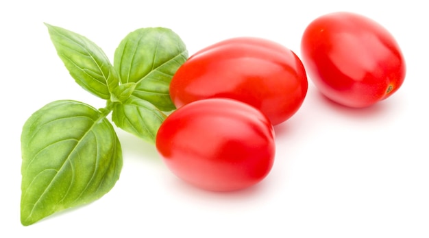 fresh plum tomato with basil leaf isolated on white background