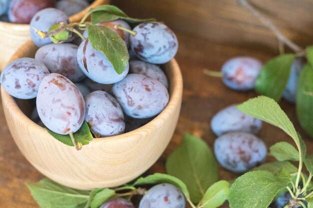 Fresh plums with green leaves in wooden pot on the dark wooden table Shallow depth of field Toned