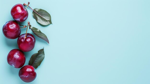 Fresh plums with leaves on a blue background The plums are ripe and juicy and the leaves are green and lush