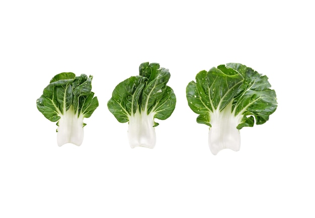 Photo fresh pok choy isolated on a white background