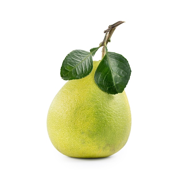 Fresh pomelo pummelo grapefruit shaddock isolated on white background close up cut out clipping path Fruit for Midautumn festival