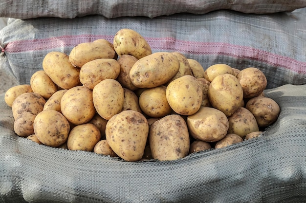 Fresh potato harvest is sold at the market