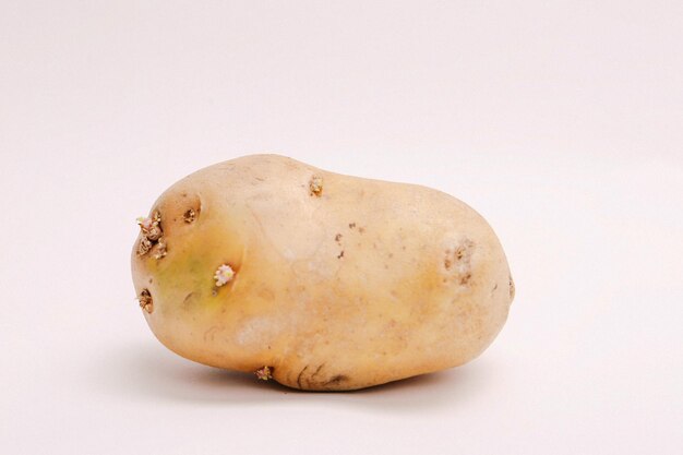 Fresh potato on white background