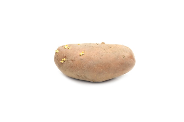 Fresh potato with growing buds on isolated white background