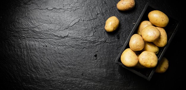 Photo fresh potatoes on a black background