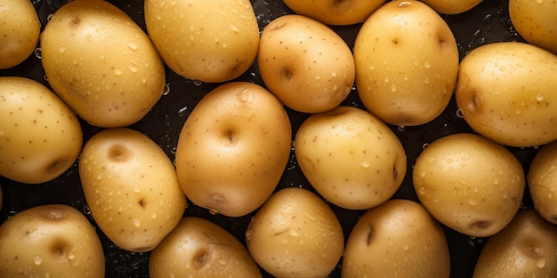 Fresh potatoes with water drops