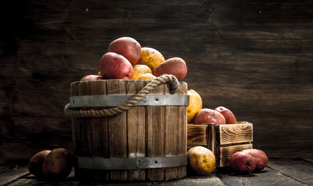 Fresh potatoes in a wooden bucket. On a wooden background.