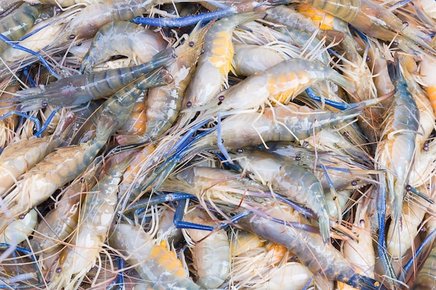 Fresh prawn shrimp on the market 