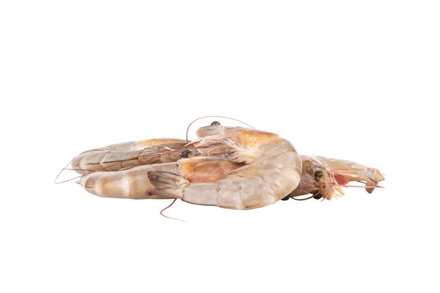 Photo fresh prawns piled isolated on white background