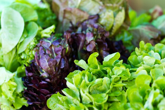 Fresh produce at the local Farmers Market.