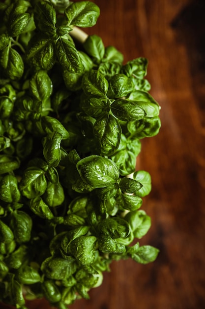 Fresh produce photography Basil in a pot on the wooden table