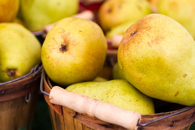 Fresh produce on sale at the local farmers market.