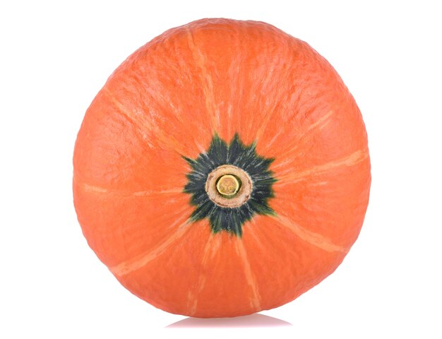 Fresh pumpkin on white background