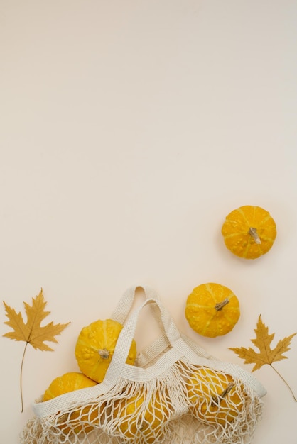 Fresh pumpkins in an ecofriendly mesh shopping bag on a light beige background